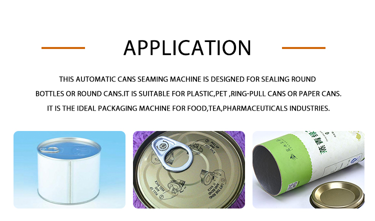 Tin Capping Machine (3)