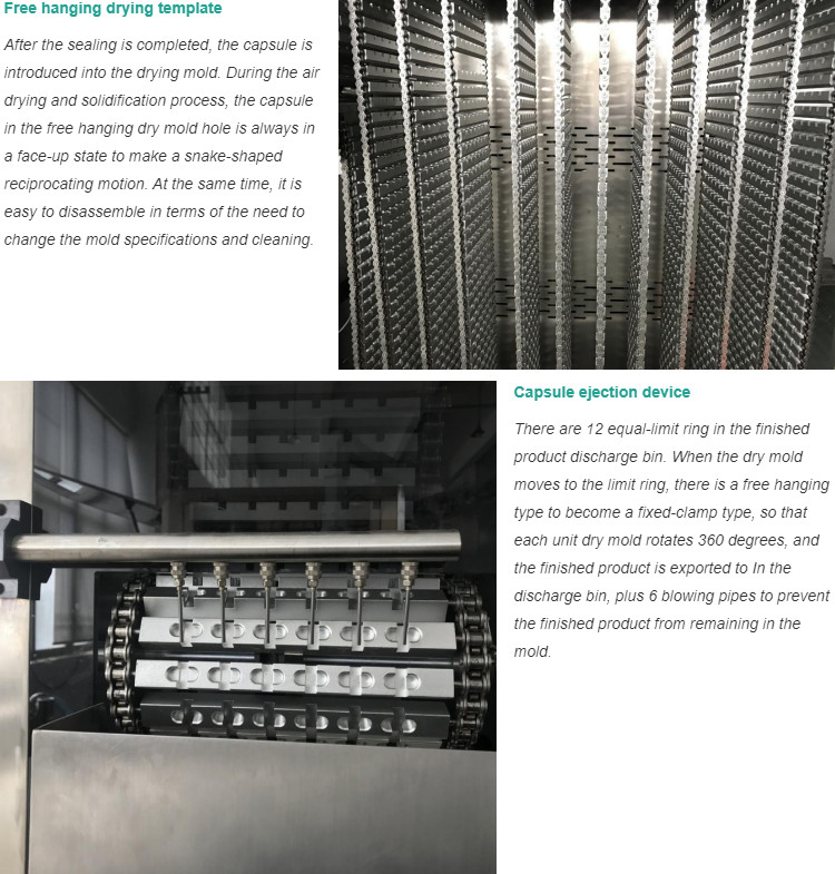 Liquid Capsule Filling Machine (6)